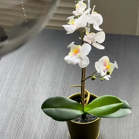 Design Naehe Uni Coblence