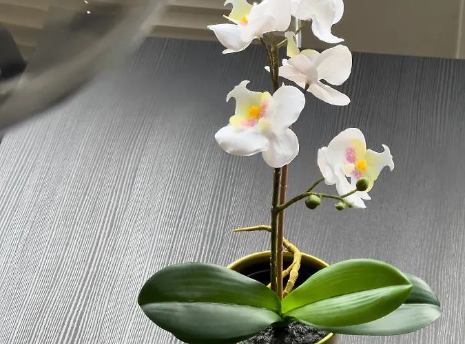 Design Naehe Uni Coblence